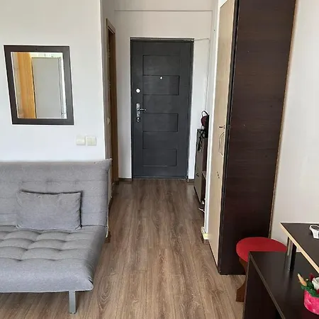 Andrei Studio - Apartmán
